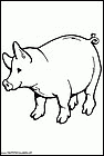 dibujos-de-cerdos-022.gif