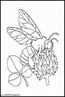 dibujos-para-colorear-de-abejas-015.gif