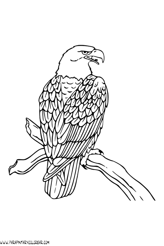 naboths vineyard coloring pages - photo #30