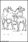 dibujos-de-camellos-002.gif