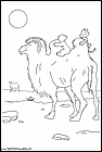 dibujos-de-camellos-003.gif