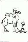 dibujos-de-camellos-005.gif