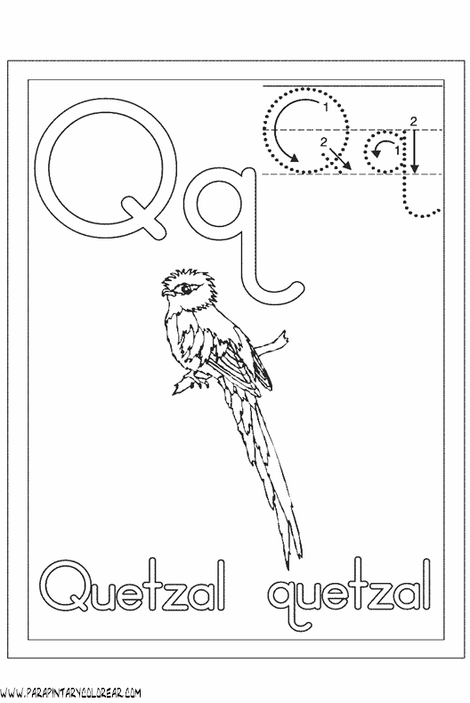 quetzals of guatemala coloring pages - photo #38