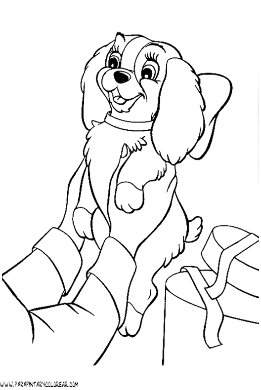 zack and quack coloring pages - photo #17