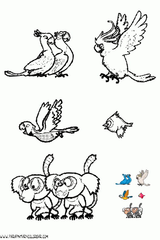 dibujos-para-colorear-de-angry-birds-003.gif
