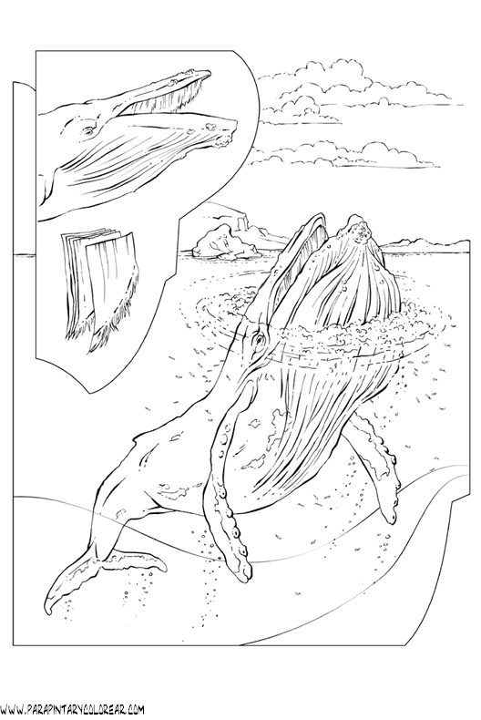 dibujos-de-ballenas-005.gif