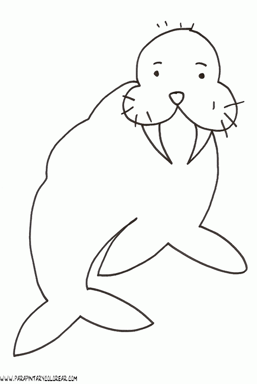 dibujos-de-focas-022.gif