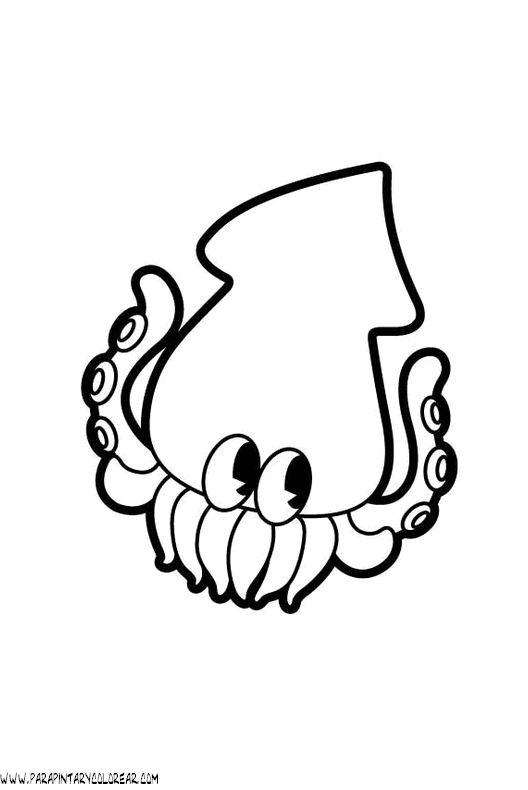 dibujos-de-calamares-002.gif