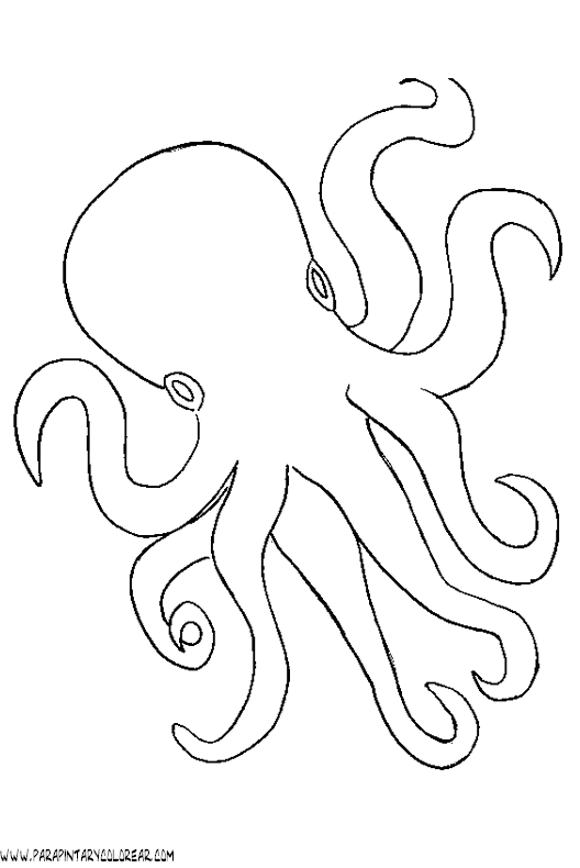 dibujos-de-pulpos-002.gif