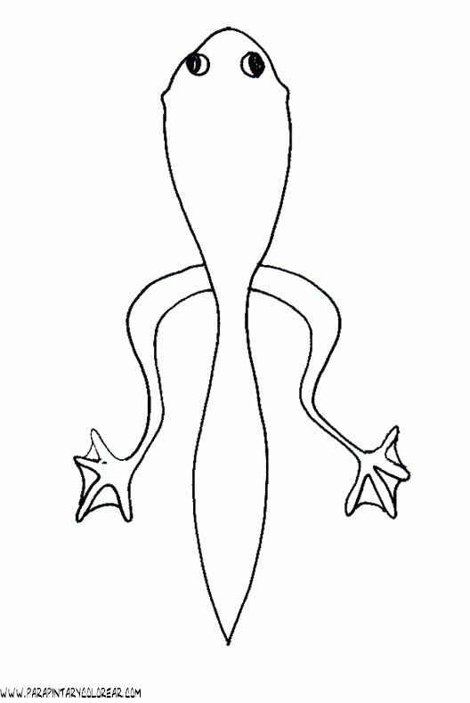 dibujos-de-ranas-029.gif