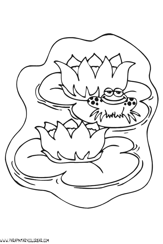 dibujos-de-ranas-078.gif
