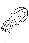 pulpos-sepias-medusas
