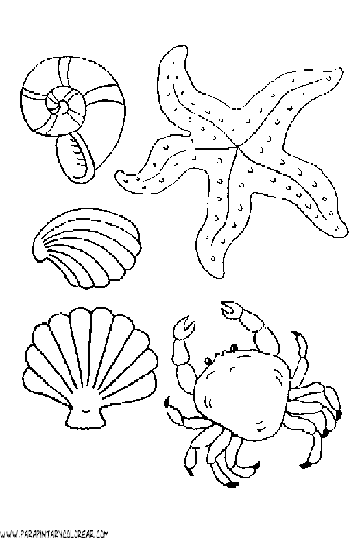 dibujos-de-animales-marinos-005