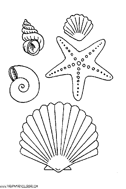 Mar de coral dibujos - Imagui