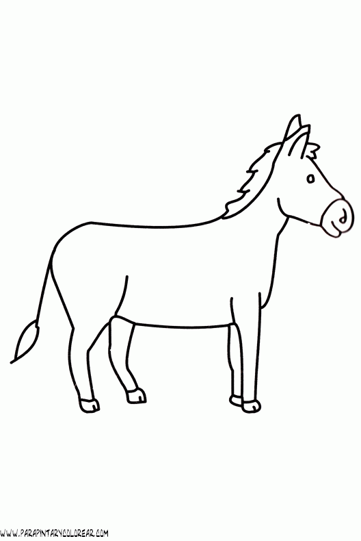 dibujos-para-colorear-de-burros-005.gif