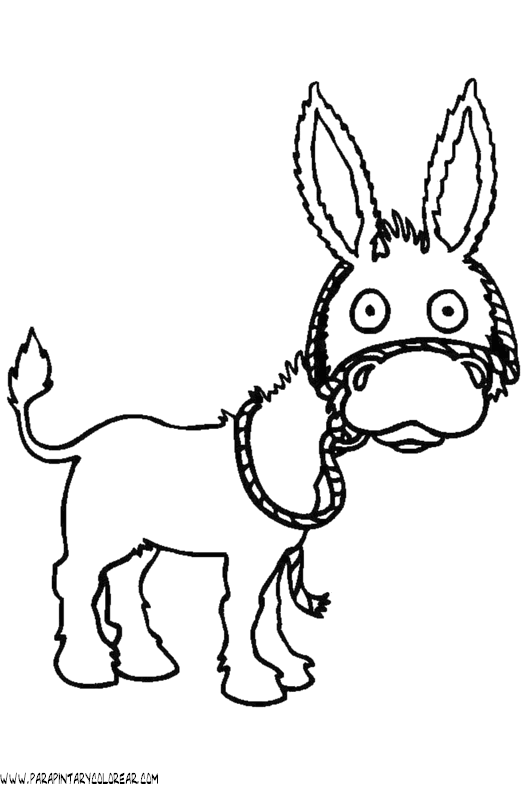 dibujos-para-colorear-de-burros-011.gif