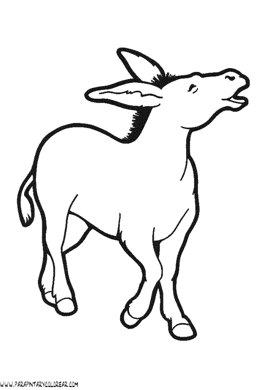 dibujos-para-colorear-de-burros-015.gif
