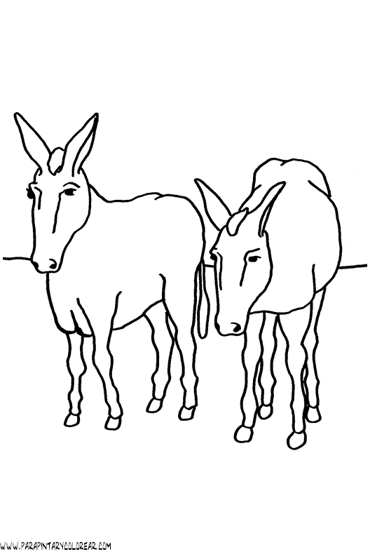 dibujos-para-colorear-de-burros-016.gif