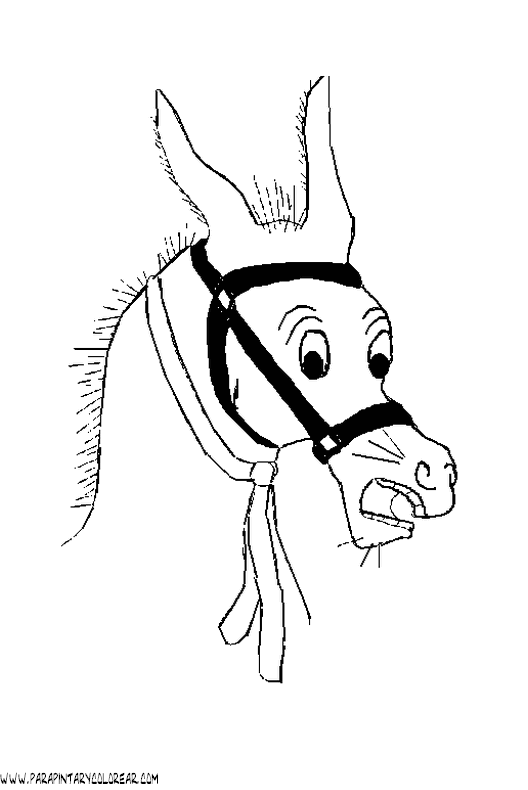 dibujos-para-colorear-de-burros-019.gif