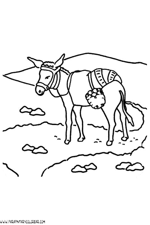 dibujos-para-pintar-de-asnos-007.gif