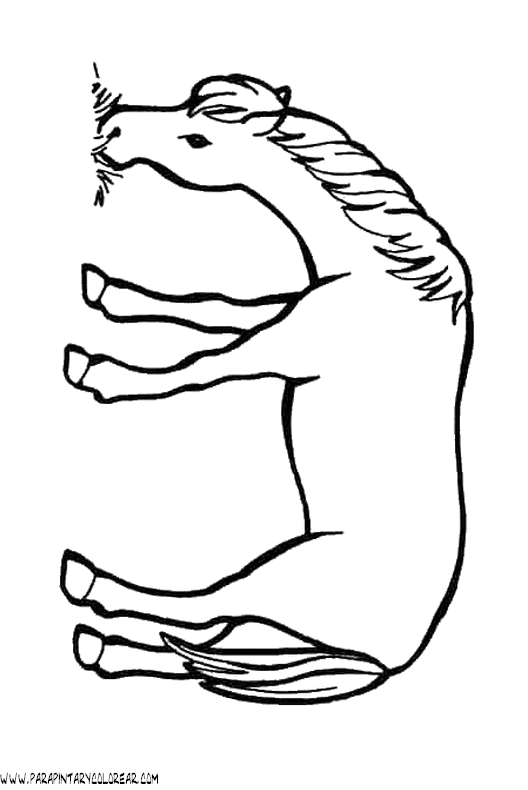 dibujos-de-caballos-060.gif