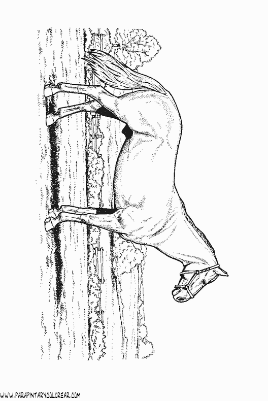 dibujos-de-caballos-089.gif