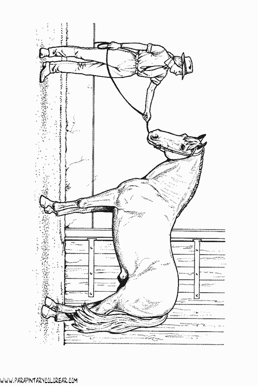 dibujos-de-caballos-091.gif