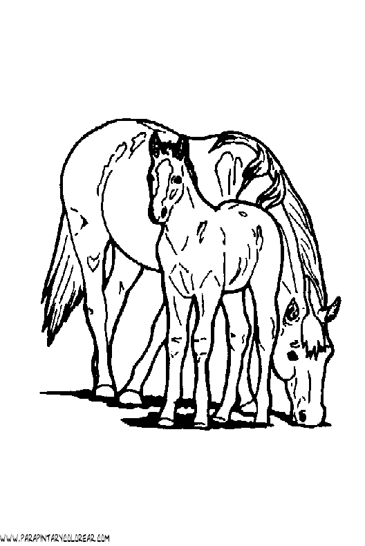 dibujos-de-caballos-092.gif