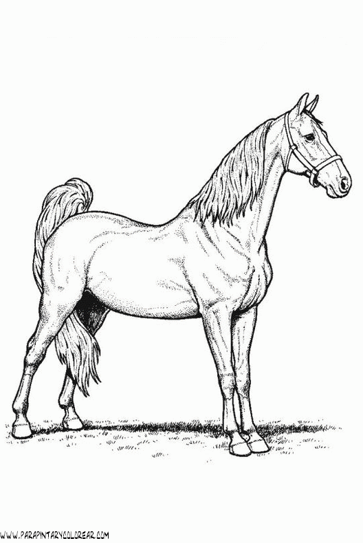 dibujos-de-caballos-095.gif
