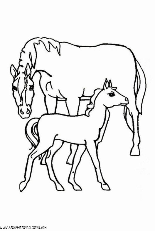dibujos-de-caballos-098.gif