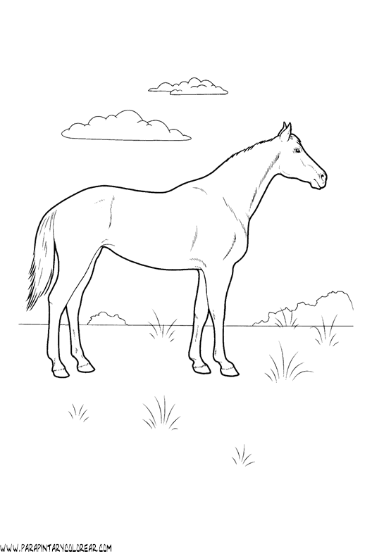 dibujos-de-caballos-099.gif