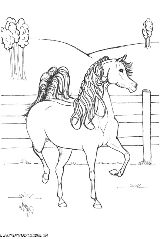 dibujos-de-caballos-115.gif