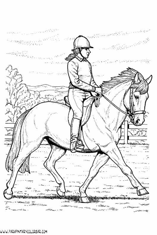 dibujos-de-caballos-116.gif