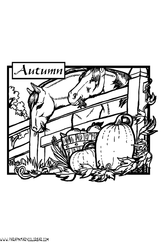 dibujos-de-caballos-117.gif