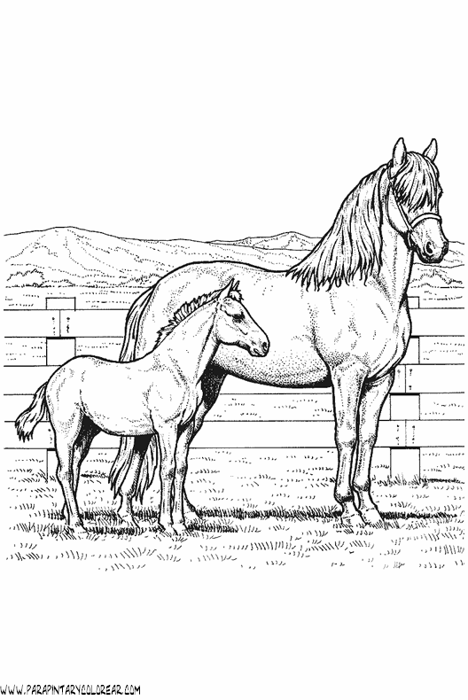 dibujos-de-caballos-121.gif