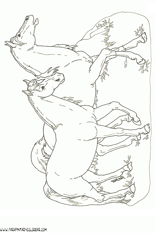 dibujos-de-caballos-123.gif