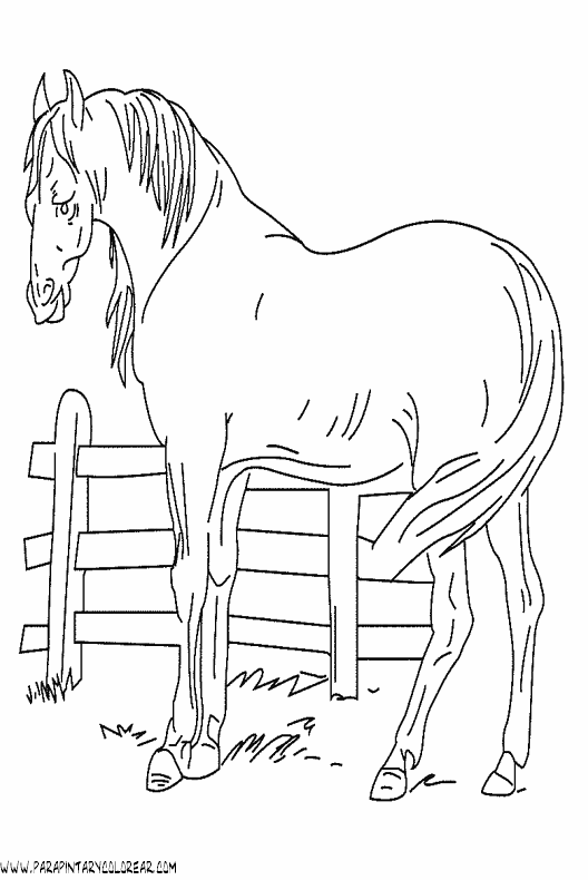 dibujos-de-caballos-124.gif