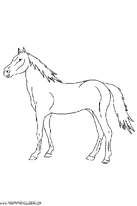 dibujos-de-caballos-125.gif