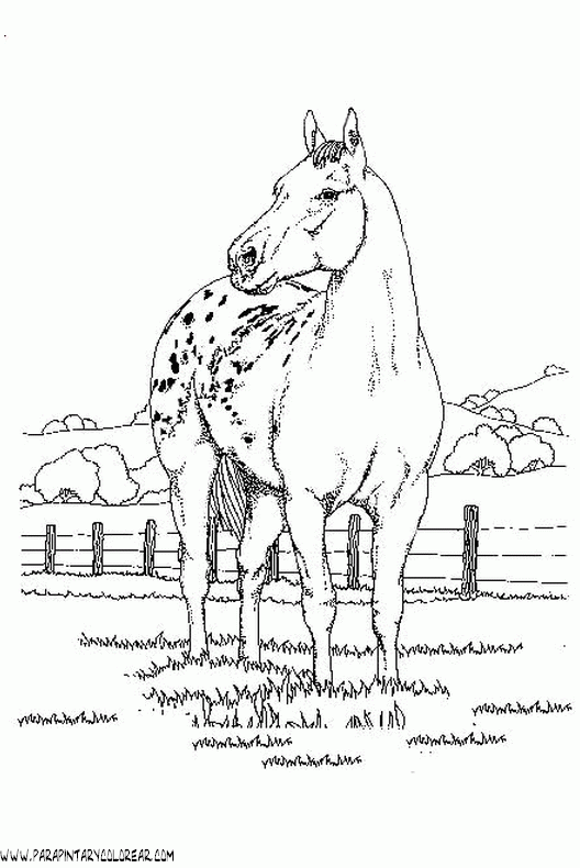 dibujos-de-caballos-126.gif