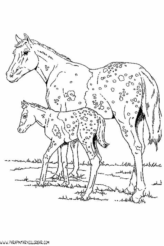 dibujos-de-caballos-127.gif