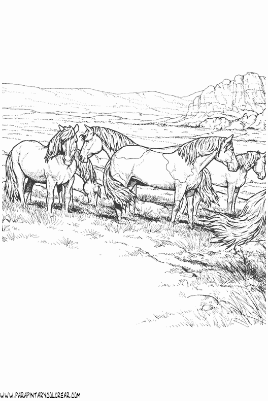 dibujos-de-caballos-129.gif