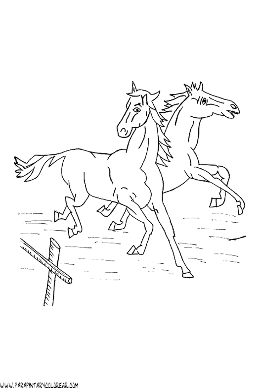 dibujos-de-caballos-135.gif