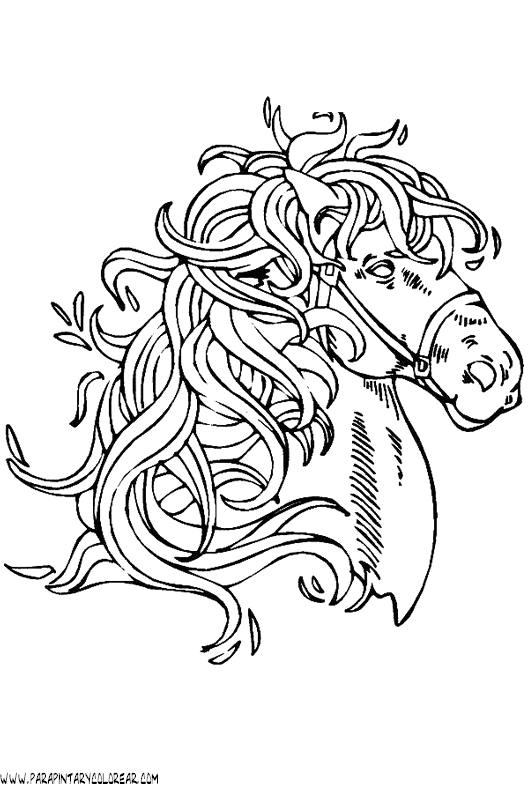 dibujos-de-caballos-138.gif
