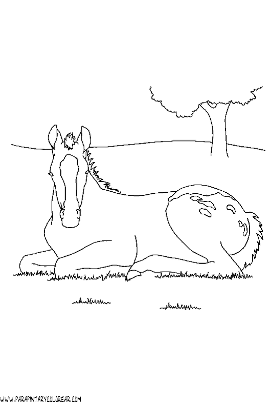 dibujos-de-caballos-155.gif