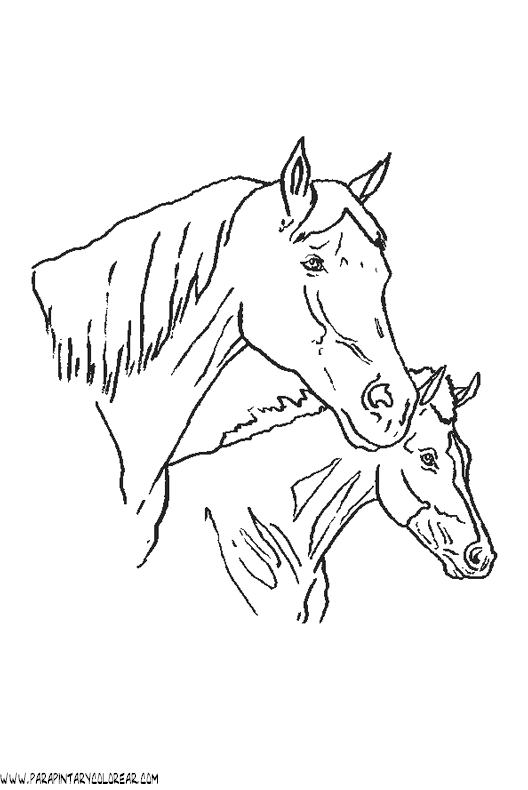 dibujos-de-caballos-157.gif