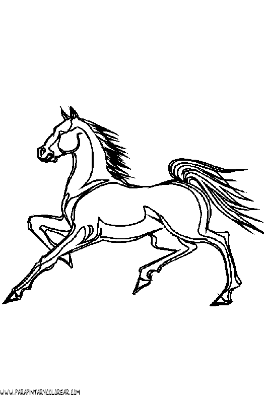 dibujos-de-caballos-161.gif