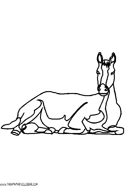 dibujos-de-caballos-162.gif