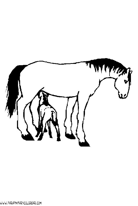 dibujos-de-caballos-165.gif