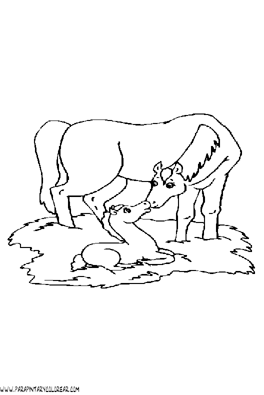 dibujos-de-caballos-166.gif