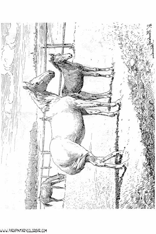 dibujos-de-caballos-173.gif